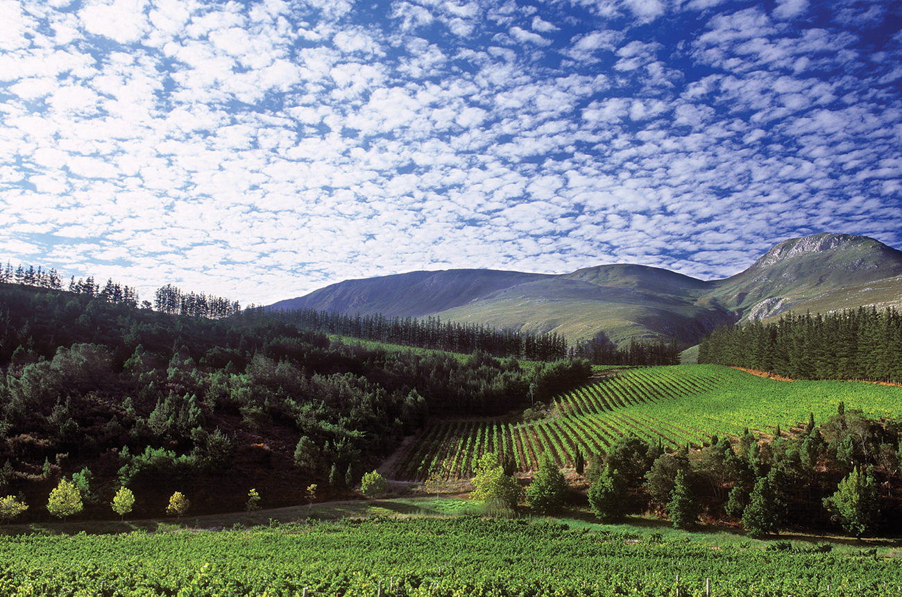 b2ap3_thumbnail_South_Africa_HOME.jpg South_Africa_HOME.jpg