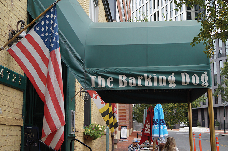 Barking-Dog_0001.jpg Barking-Dog_0001.jpg